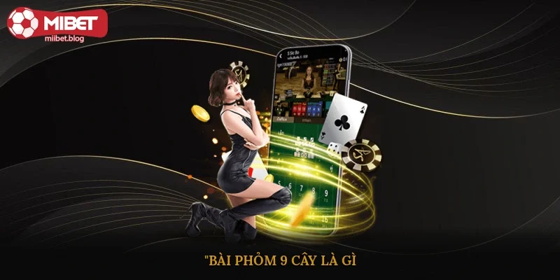 Bài phỏm 9 cây là gì?