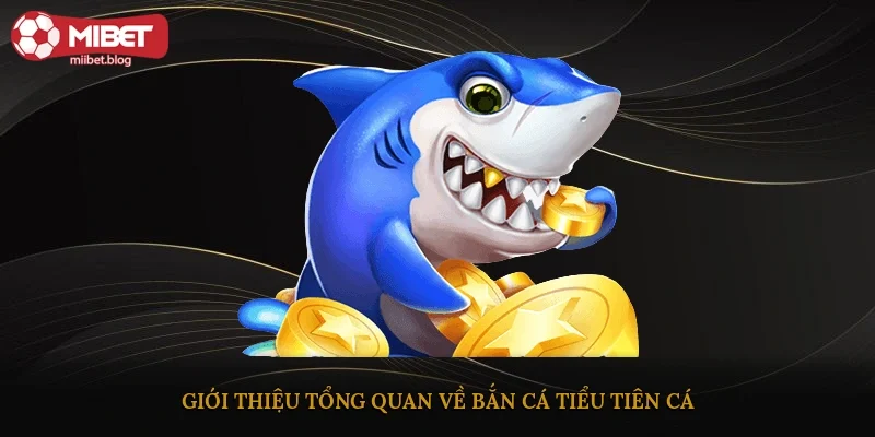 Giới thiệu tổng quan về bắn cá Tiểu Tiên Cá