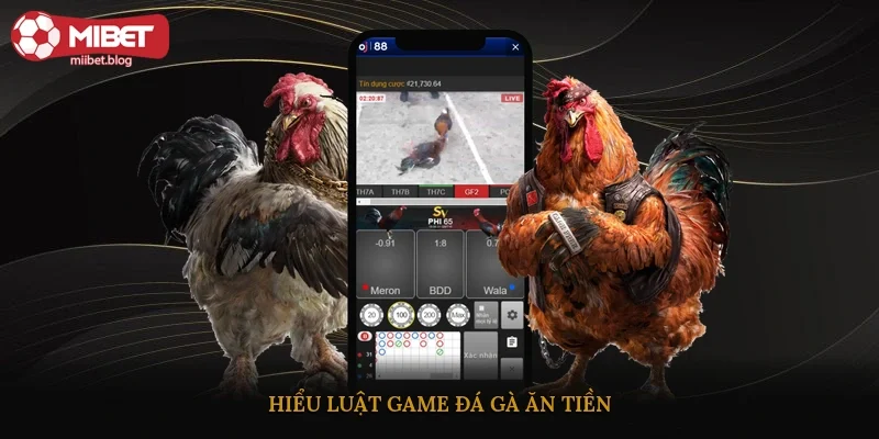 Hiểu luật game đá gà ăn tiền