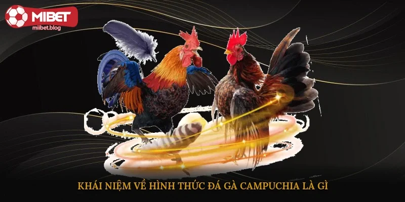 Khái niệm về hình thức đá gà Campuchia là gì?