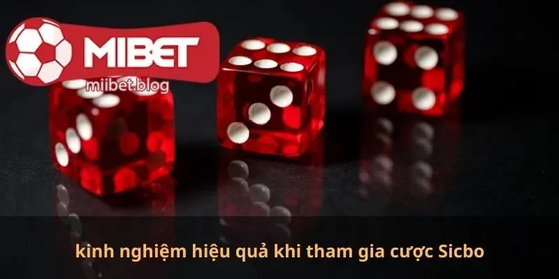 Những kinh nghiệm hiệu quả khi tham gia cược Sicbo