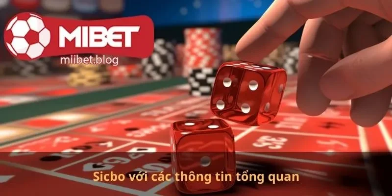 Sicbo với các thông tin tổng quan