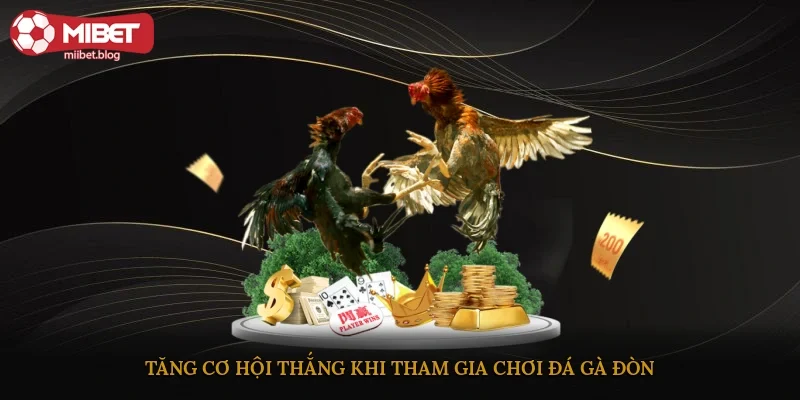 Tăng cơ hội thắng khi tham gia chơi đá gà đòn