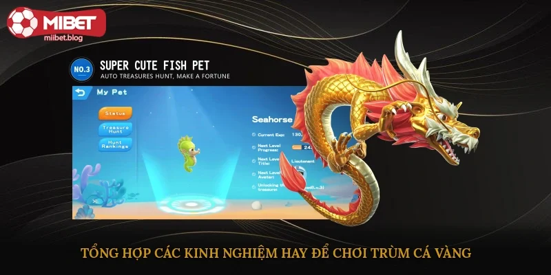 Tổng hợp các kinh nghiệm hay để chơi Trùm Cá Vàng